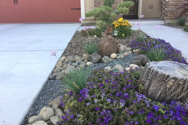 planting native plants in northern California