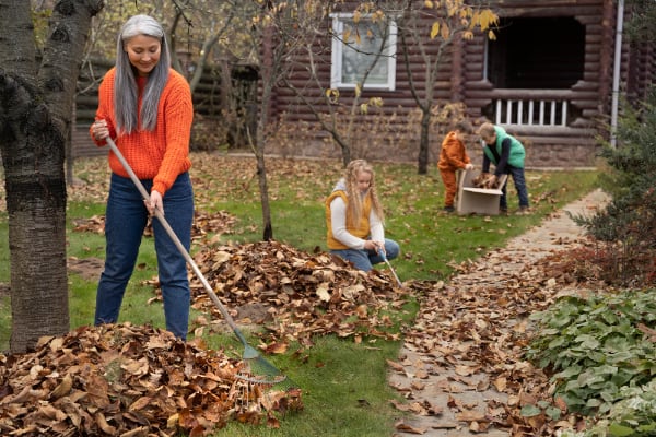 Magic Touch Landscaping Spring Service